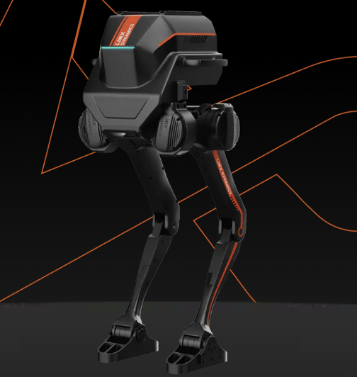 Robot Dog